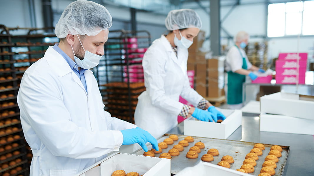 Gloves for food industry